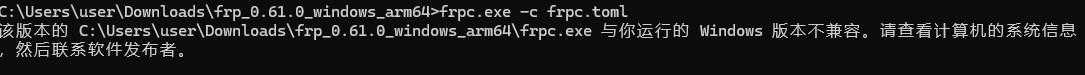 Frp内网穿透服务端搭建教程-官方版本