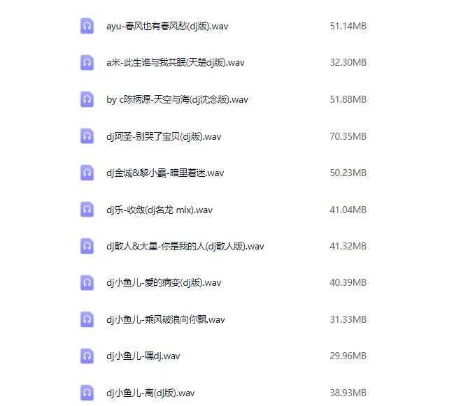 2025年车载必备326首抖音DJ嗨曲精选合集,劲爆热辣嗨翻你的音乐世界